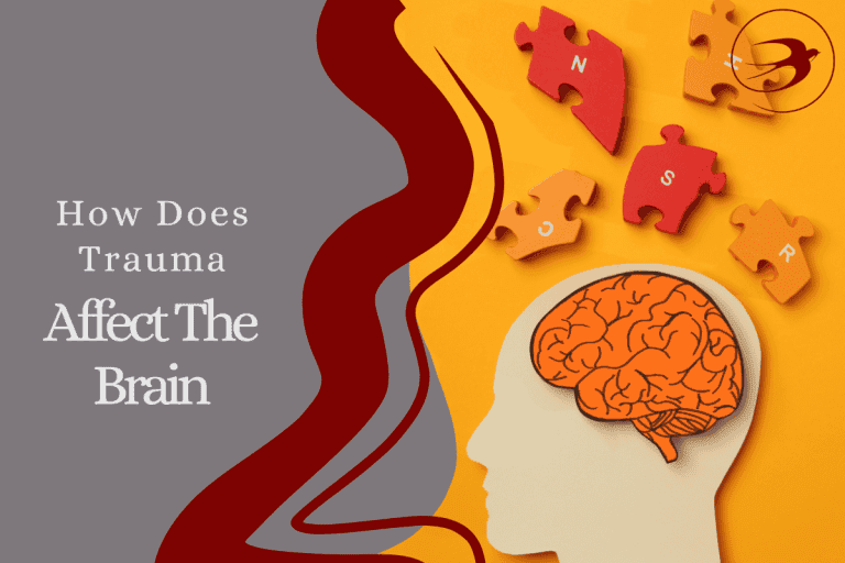 How Does Trauma Affect the Brain