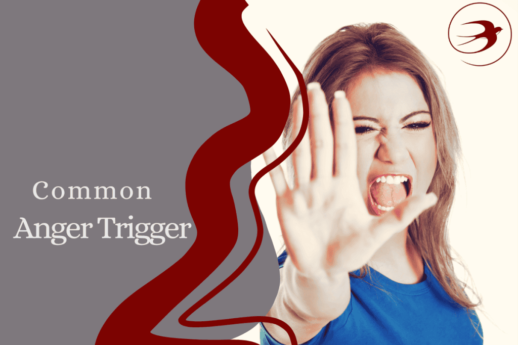 Common Anger Trigger