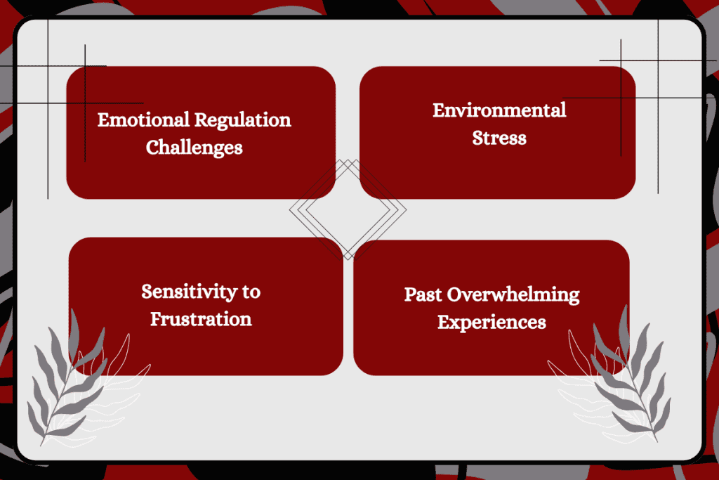 What Causes Disruptive Mood Dysregulation Disorder 